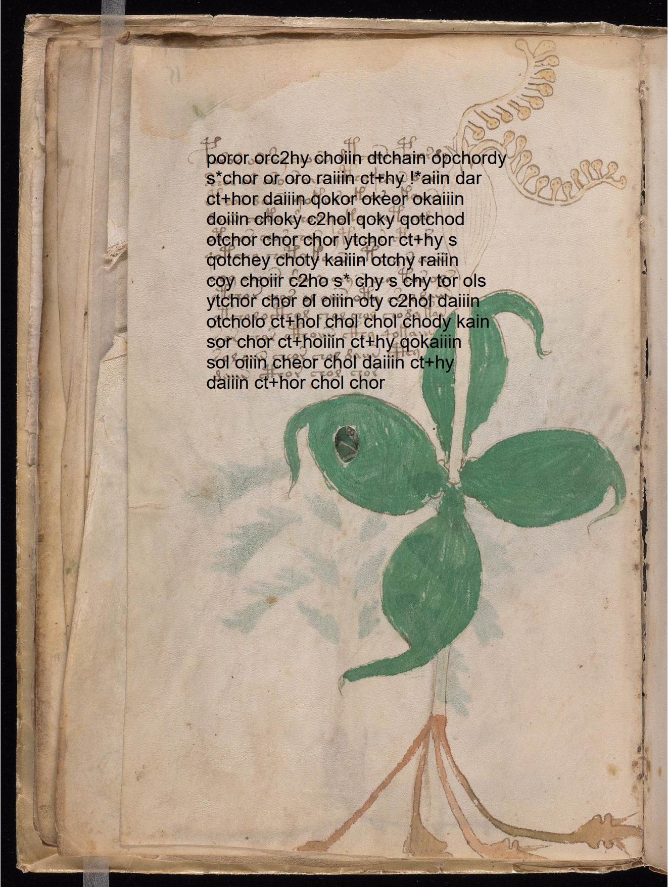 Folio 15v glyph overlay on parchment